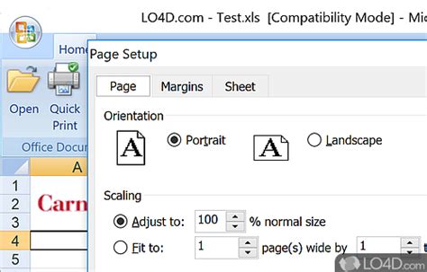 Excel Viewer Tutorial 的图像结果