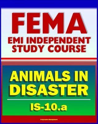 Image result for FEMA 100 Study Guide