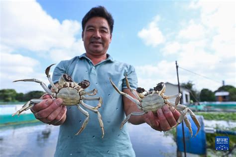 浙江湖州：推进村庄景区化 打造乡村旅游新亮点_云南网