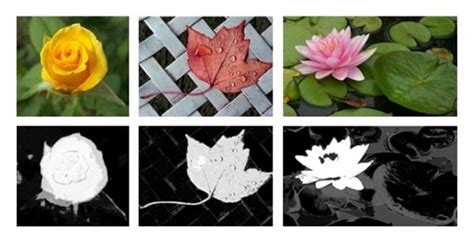 Image result for Spatial Distribution Map