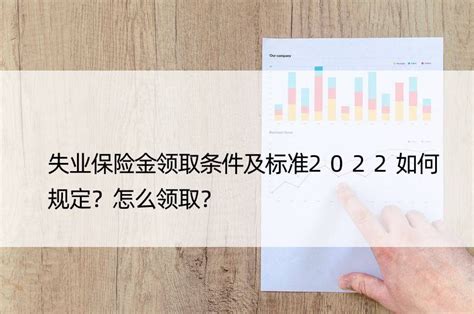 上海失业保险金的领取标准是多少？怎么领？_登记_就业_指南
