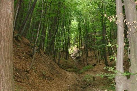 14 Places To Visit In Moldova In 2026 For A Fun Filled Vacay