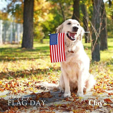 Clay’s Flooring & Furniture Co. on LinkedIn: #landofthefree # ...