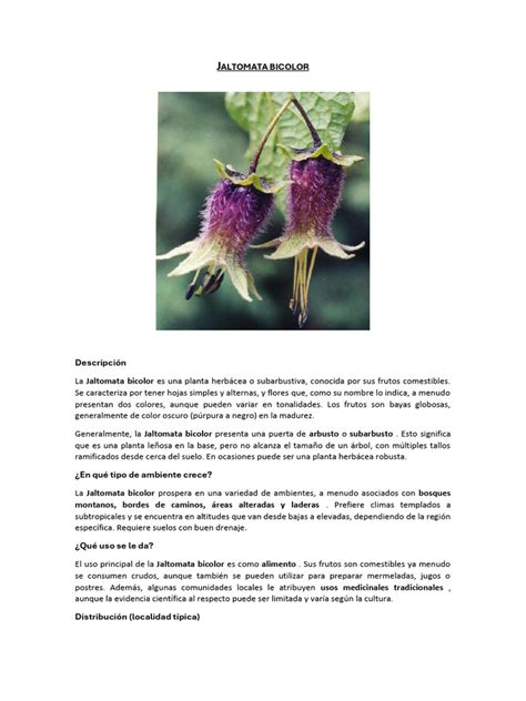 Image result for Instructional Script Example