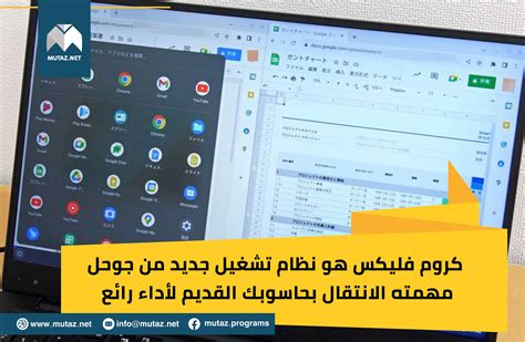 Image result for Mutaz Programs