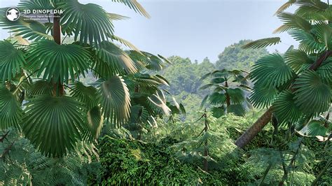 Tropical and subtropical forests | 3D Dinopedia