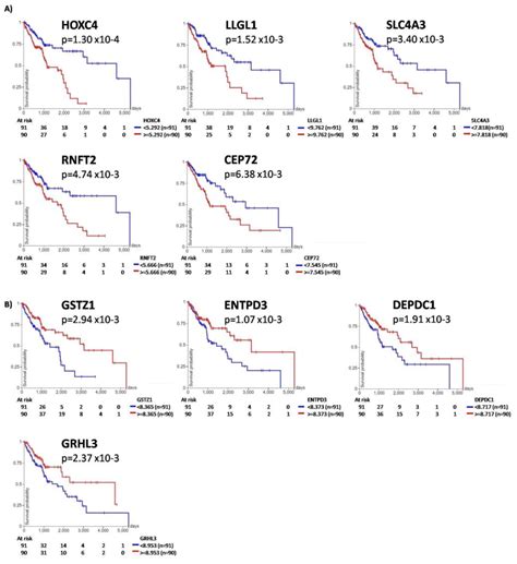 Transcriptomic Profiling for Prognostic Biomarkers in Early-Stage ...
