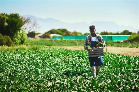 Agriculture in Uganda: Challenges And Innovations for Sustainable Growth - Afro Discovery