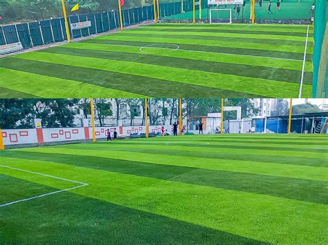 Leading importer and manufacturer of artificial turf in India approved ...