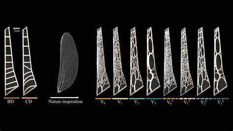 Image result for Machine Learning Wing Design