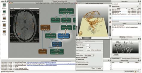 Image result for MeVisLab Connectors Triangle