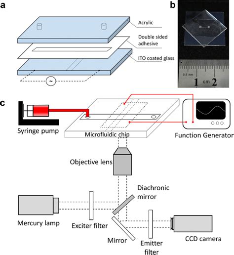 Microfluidic Chip 的图像结果