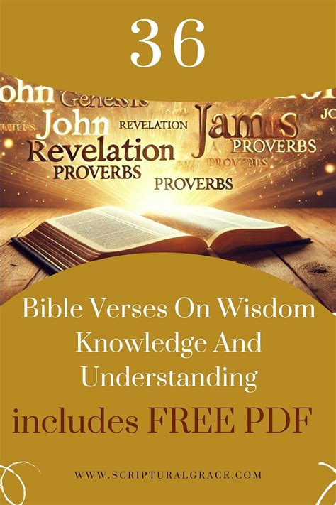 Image result for Wisdom and Understanding Scripture