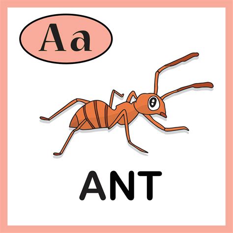 Ant Alphabet cute Flash card. Letter A. Practice learning for children ...