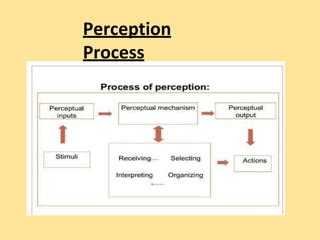 3 Elements of Perception 的图像结果