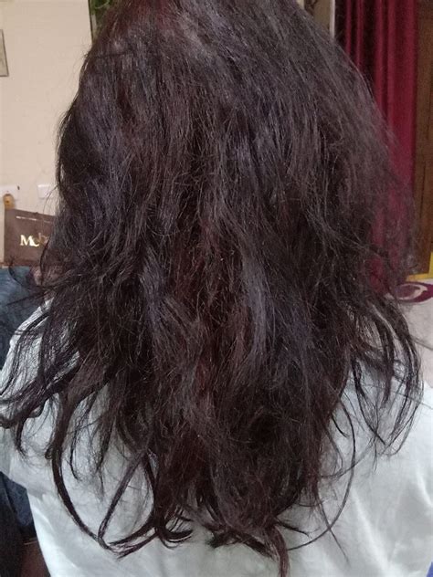 Buy Pratha Natural Shampoo Bar Pack of 2 (100gm*2) - Shikakai Reetha ...