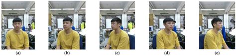 3D Face Point Cloud Reconstruction and Recognition Using Depth Sensor