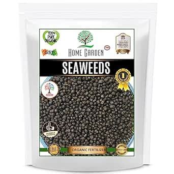 Home Garden Seaweeds Essential Organic Fertilizer For Plant With Fast ...