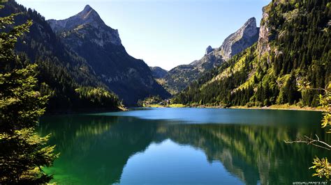 Image result for Desktop Background Images