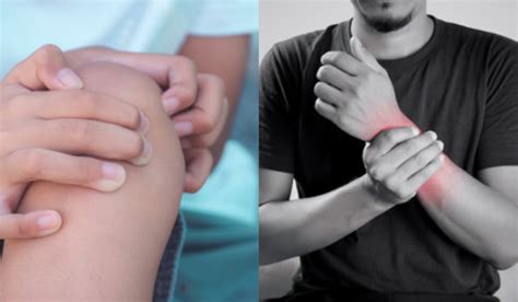 Bones become weak due to lack of calcium, consuming these foods will ...