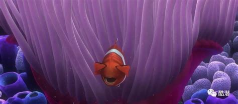 Finding Nemo (2003) Screencap