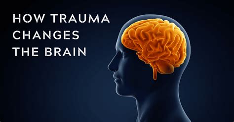Image result for Trauma Brain Processing