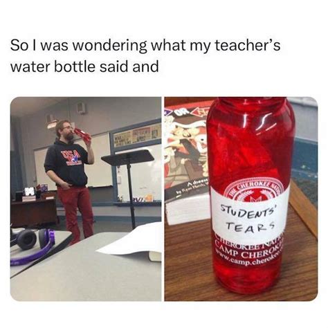 Image result for MyMathLab Memes