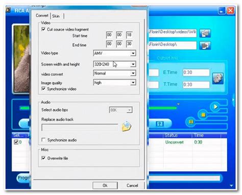 AMV File 的图像结果