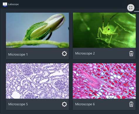 Lab Scope 的图像结果