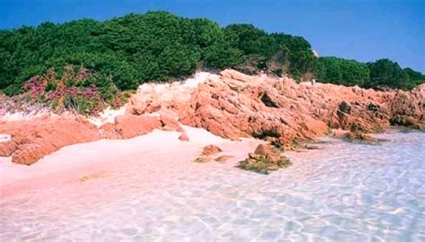 Fantastic Pink Sand Beaches and Where to Find Them