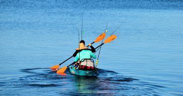 Image result for How to Fly Fish.com