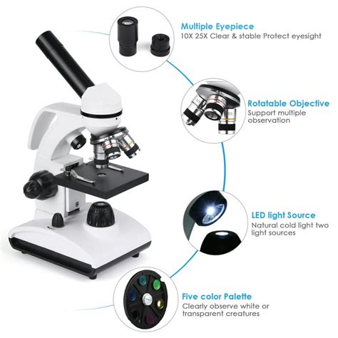 Image result for Compound Microscope Light Source