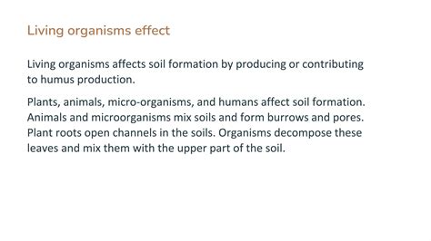factors affecting soil formations | PPTX