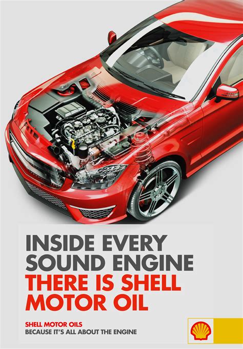 Image result for Shell Inside