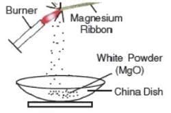 NCERT Solutions for Class 10 Science Chapter 1 - Chemical Reactions and ...