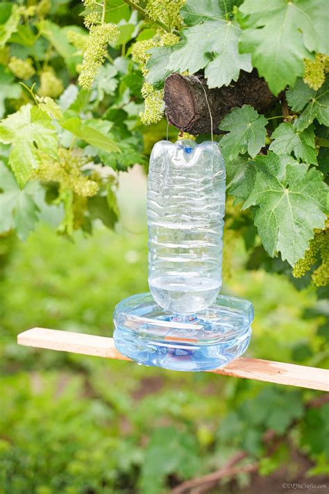 How To Make Bird Feeders From Plastic Bottles at Joel Donovan blog