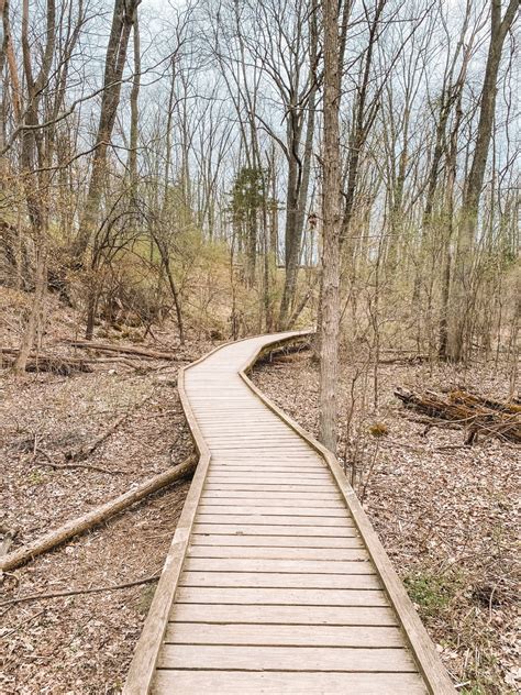 Hiking Stairway to Heaven and the Pochuck Boardwalk in New Jersey