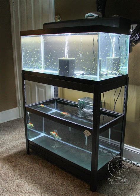 40 Gallon Breeder Tank Top - Wese Aquarium Fish