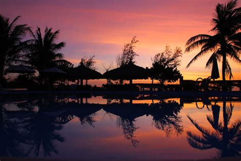 Purple Sunset Palm Tree Images – Browse 9,291 Stock Photos, Vectors, and Video | Adobe Stock