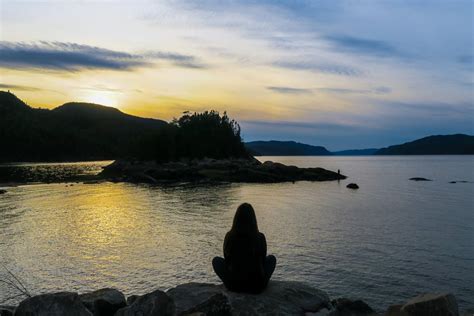 Image result for Free 12 Step Program