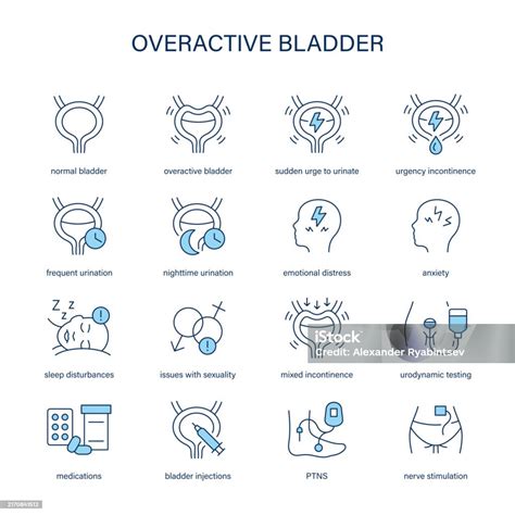Overactive Bladder Symptoms Diagnostic And Treatment Vector Icons Medical Icons Stock ...