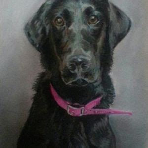 Drawing animals in pastels workshop , Yateley WI Hall, B3272, Reading ...