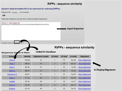 RiPPMiner | A Bioinformatics Resource for Deciphering Chemical ...