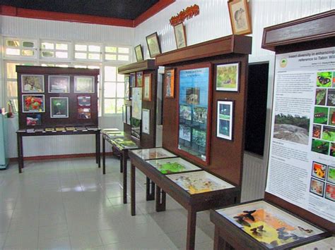 TABIN WILDLIFE RESORT (Lahad Datu, Sabah) - Campground Reviews & Photos ...