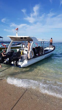 Two Fish Divers Lembongan (Nusa Lembongan) - 2022 What to Know Before ...