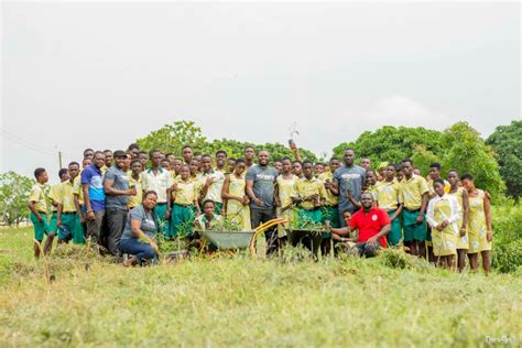 Image result for Tree-Planting Exercise