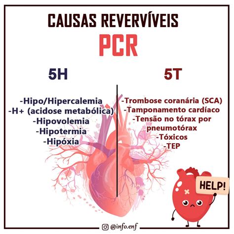 Causas De Pcr 5h E 5t - REVOEDUCA