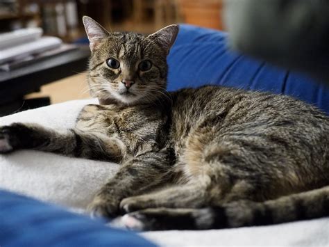 Week 48 – and half of 49 – in pictures – Wolfgang Lonien