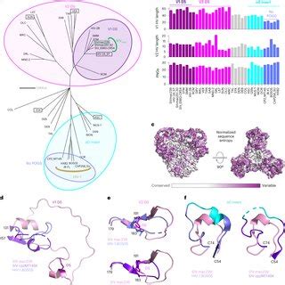 Image result for Conserved Sequence