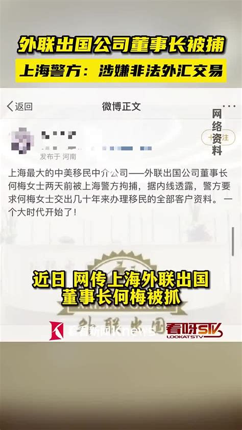上海“外联出国”高管因涉嫌非法外汇交易被捕|上海市|高管_新浪新闻